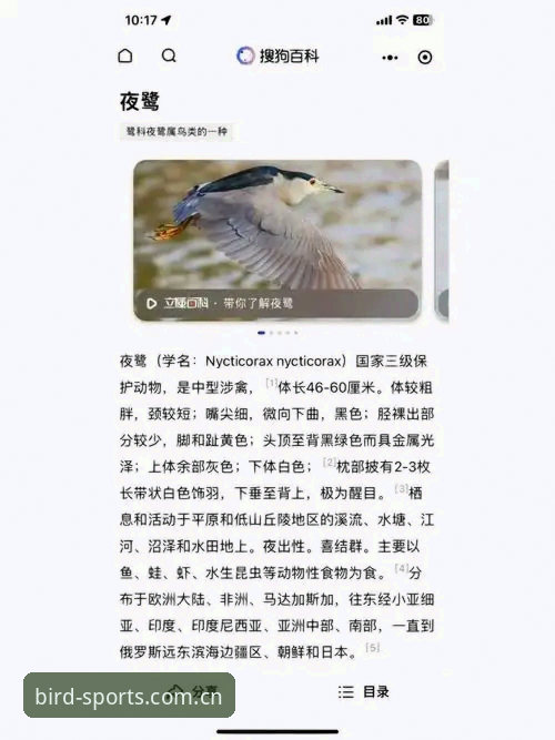 小鸟体育平台综合评测：下载困境背后的行业趋势与解决方案