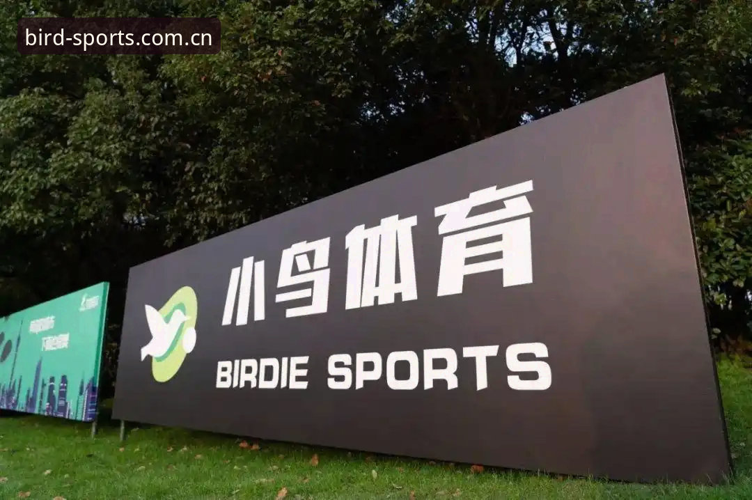 小鸟体育安全吗评测：4个维度深度解析平台可靠性