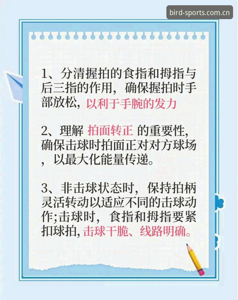 小鸟体育运动生活实用指南：从入门到精通的完整使用手册