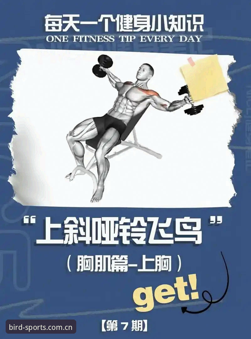 小鸟体育体验流畅使用指南：从入门到精通的五个实用技巧